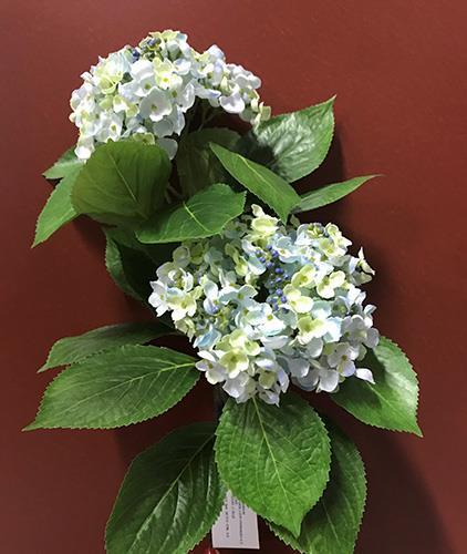 HYDRANGEA RAMO 2FIORI 80CM. CELESTE