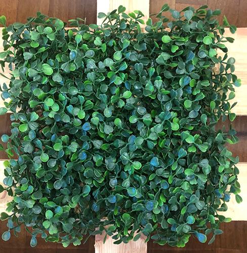 PRATO BOSSO CM.30X30 GREEN