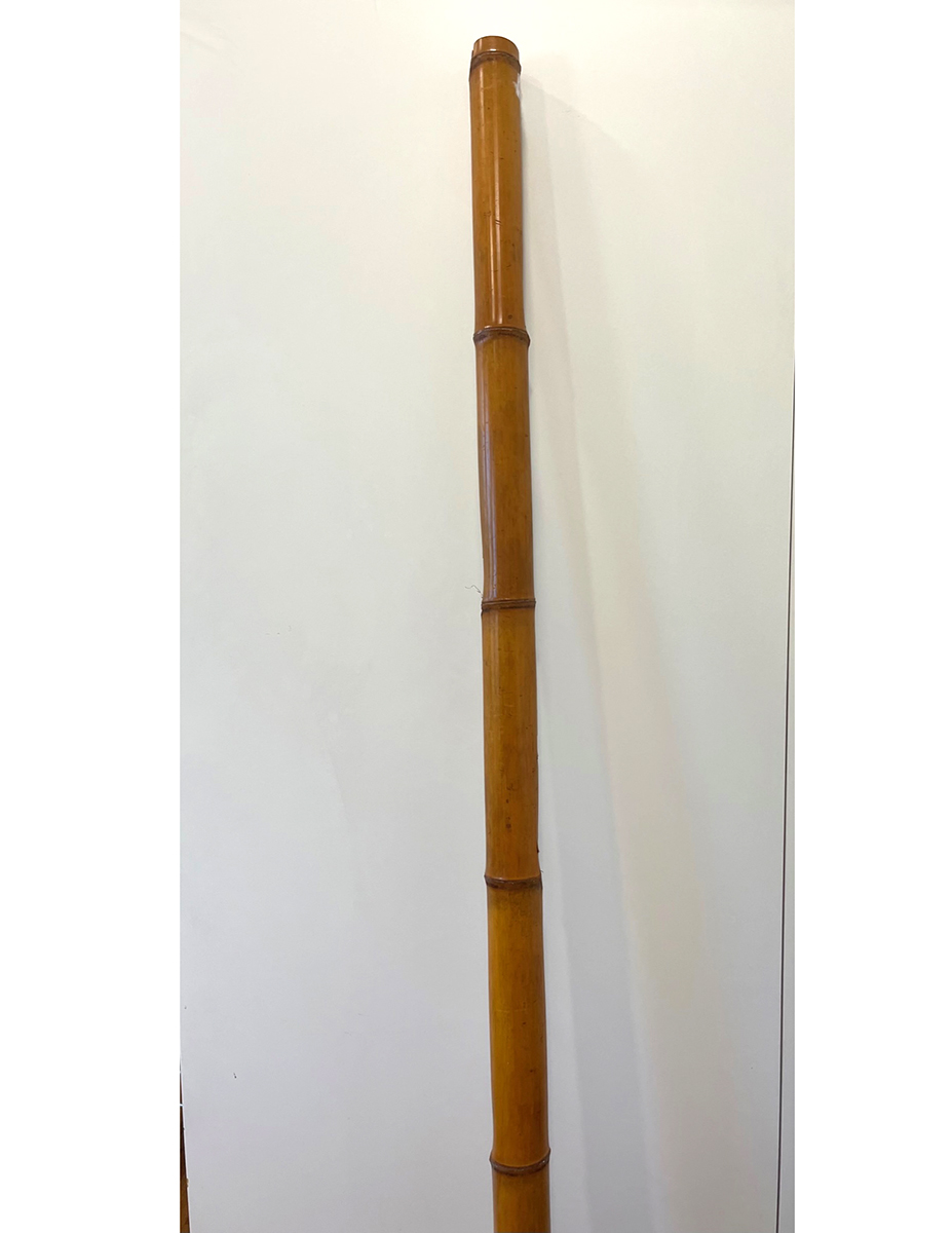 BAMBOO L210 D7CM. BROWN DA9191