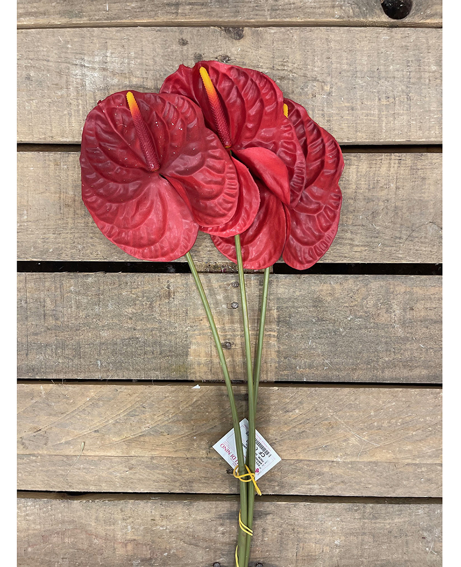 ANTHURIUM GRANDE 70CM. 3PZ. ROSSO