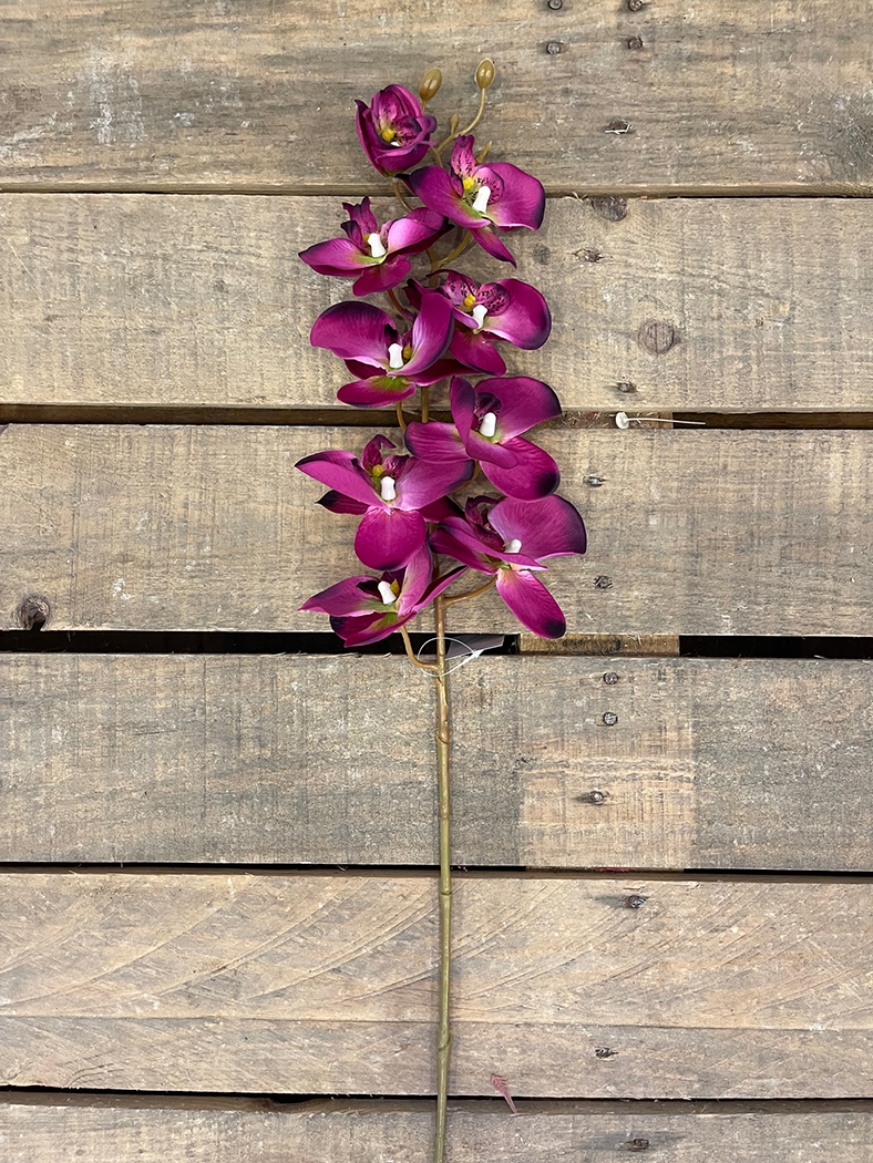 PHALAENOPSIS FLEMISH X9FLWRS 100CM. FUCSIA