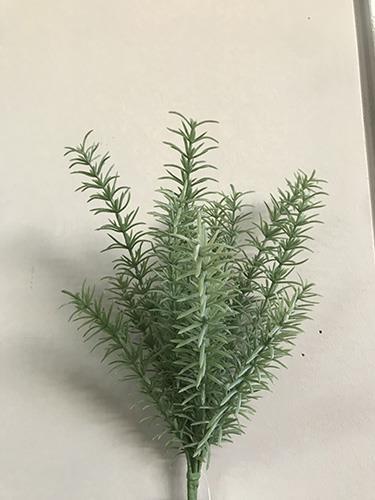 ROSMARINO BUSH X7 35CM. FROS.