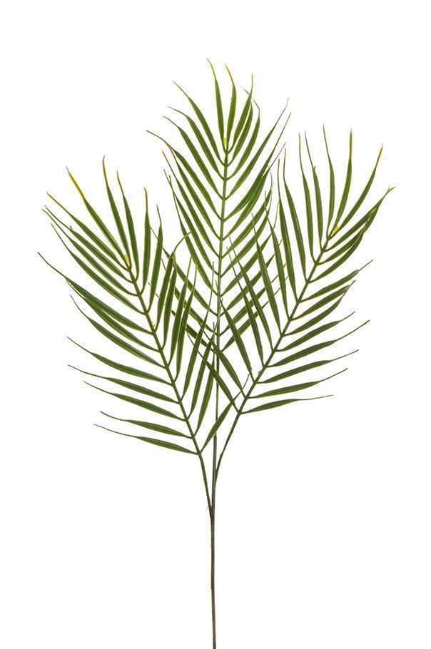 ARECA PALM SPRAY X3 75CM. 3PZ. VERDE
