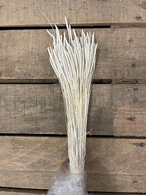 CODE DI TOPO 100GR. BIANCO