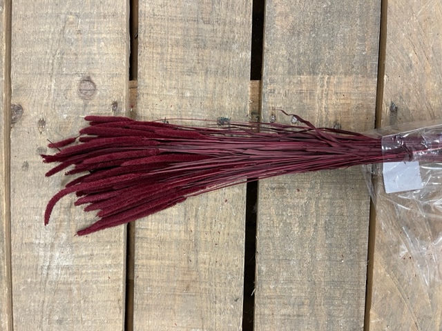 CODE DI TOPO 100GR. BORDEAUX