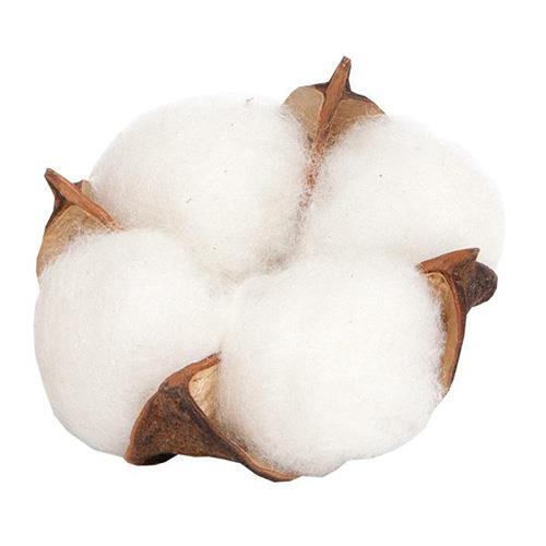 FIORE DEL COTONE D6CM. 10PZ. BIANCO