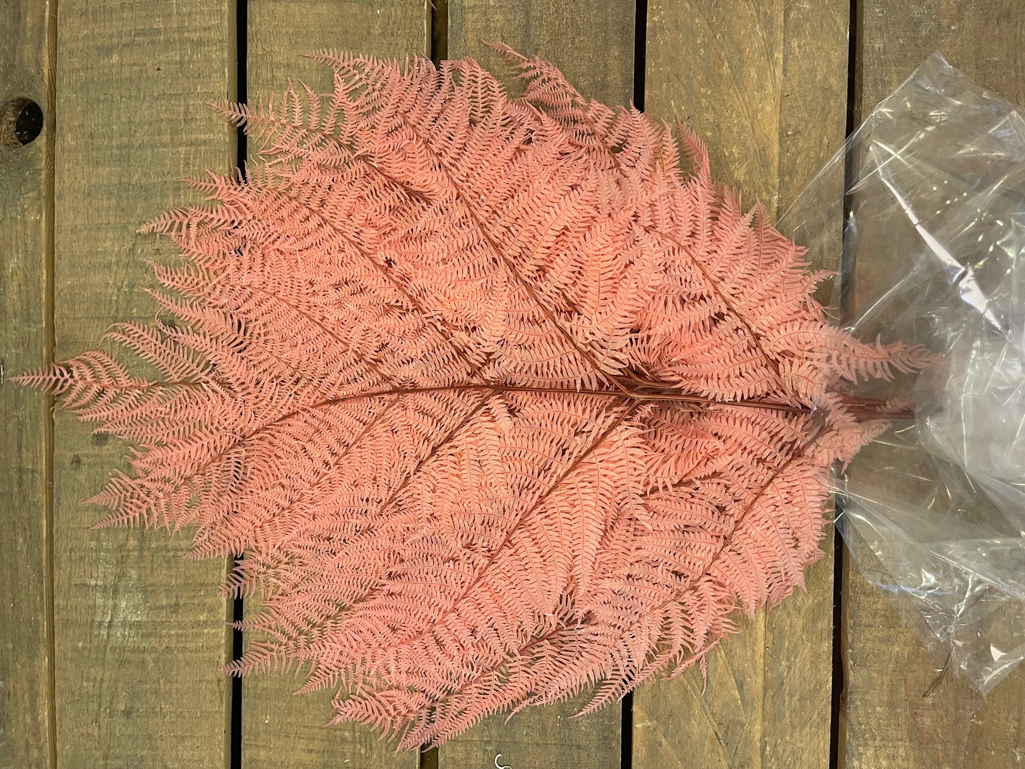 FELCIONI 5PZ. ROSA ANT.