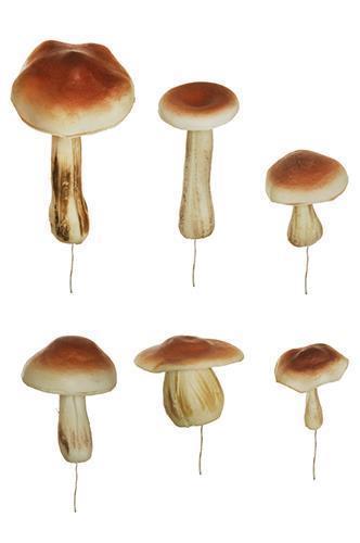 FUNGHI FOAM 12CM. 6PEZZI ASS.