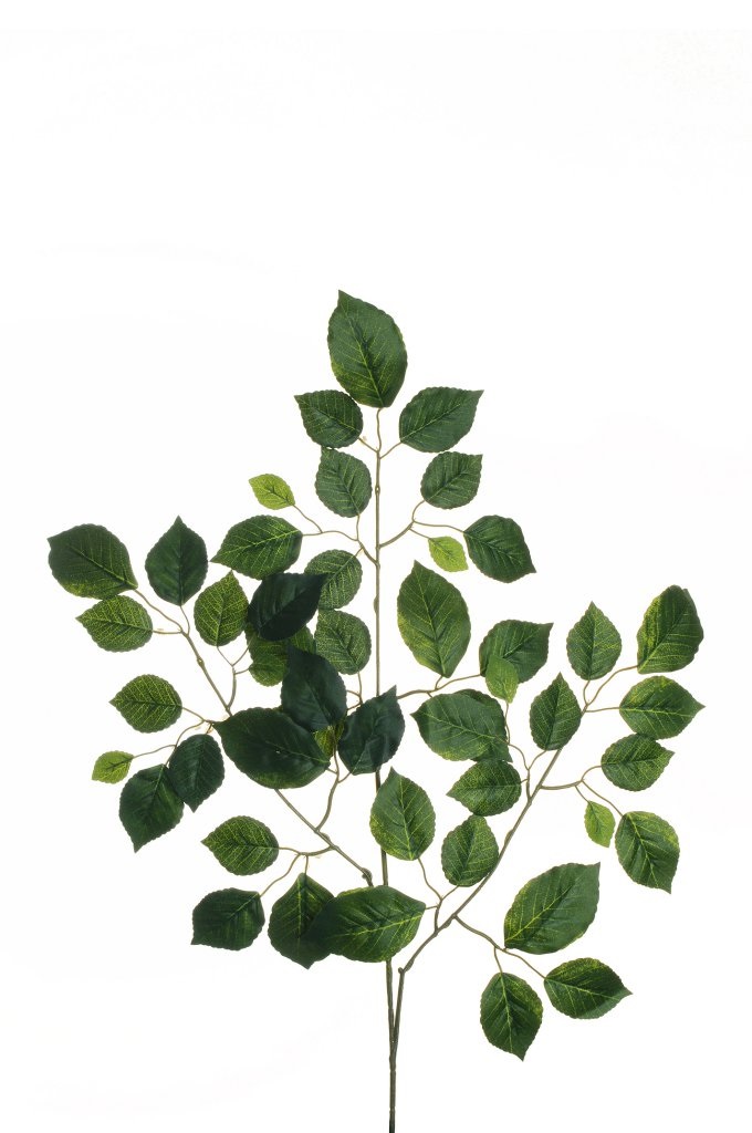 BEECH SPRAY 48FOGLIE 67CM. 12PZ. VERDE