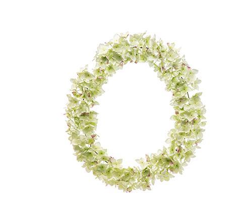 CORONA DI HYDRANGEA D63CM. VERDE CH.