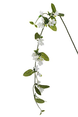 STEPHANOTIS LONG BRANCH 120CM. BIANCO