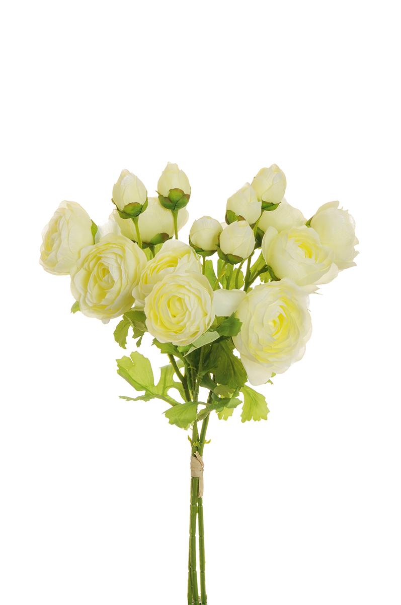 RANUNCULUS BUNDLE X3 44CM. CREAM/GREEN