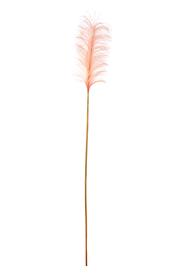 TRALCIO PAMPAS 120CM. 3PZ. ROSA