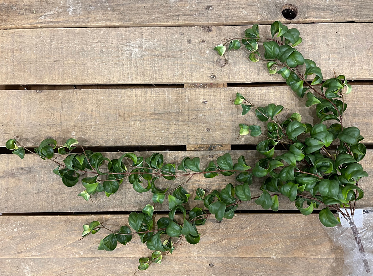 CURLED LEAF VINE 85CM. VERDE