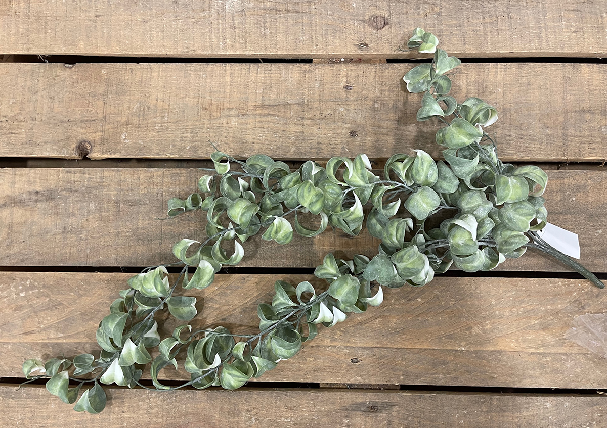CURLED LEAF VINE 85CM. FROSTED