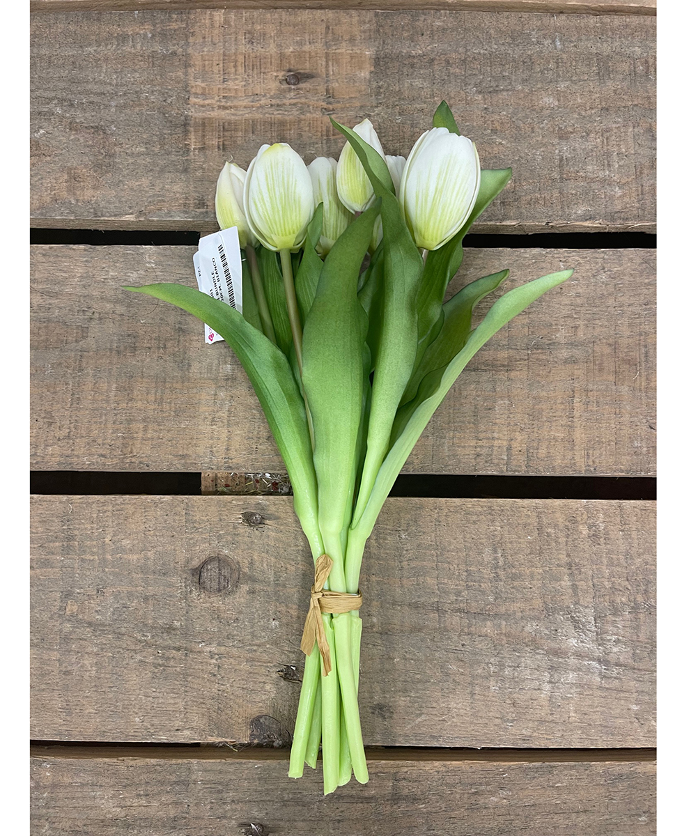 TULIPANI BUNDLE 7STELI 30CM. BIANCO