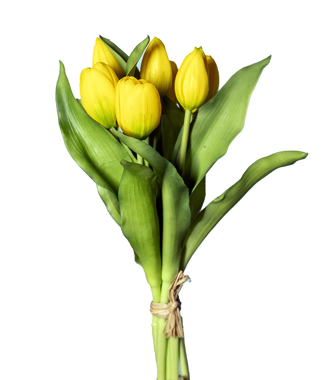 TULIPANI BUNDLE 7STELI 30CM. GIALLO