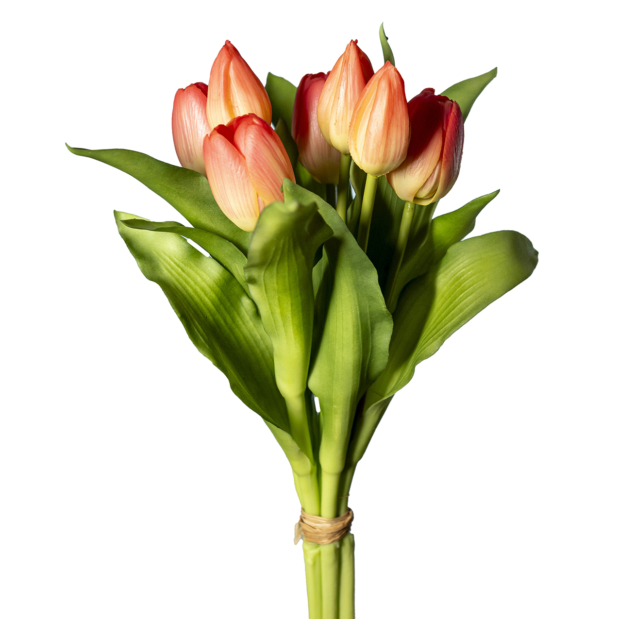 TULIPANI BUNDLE 7STELI 30CM. PEACH