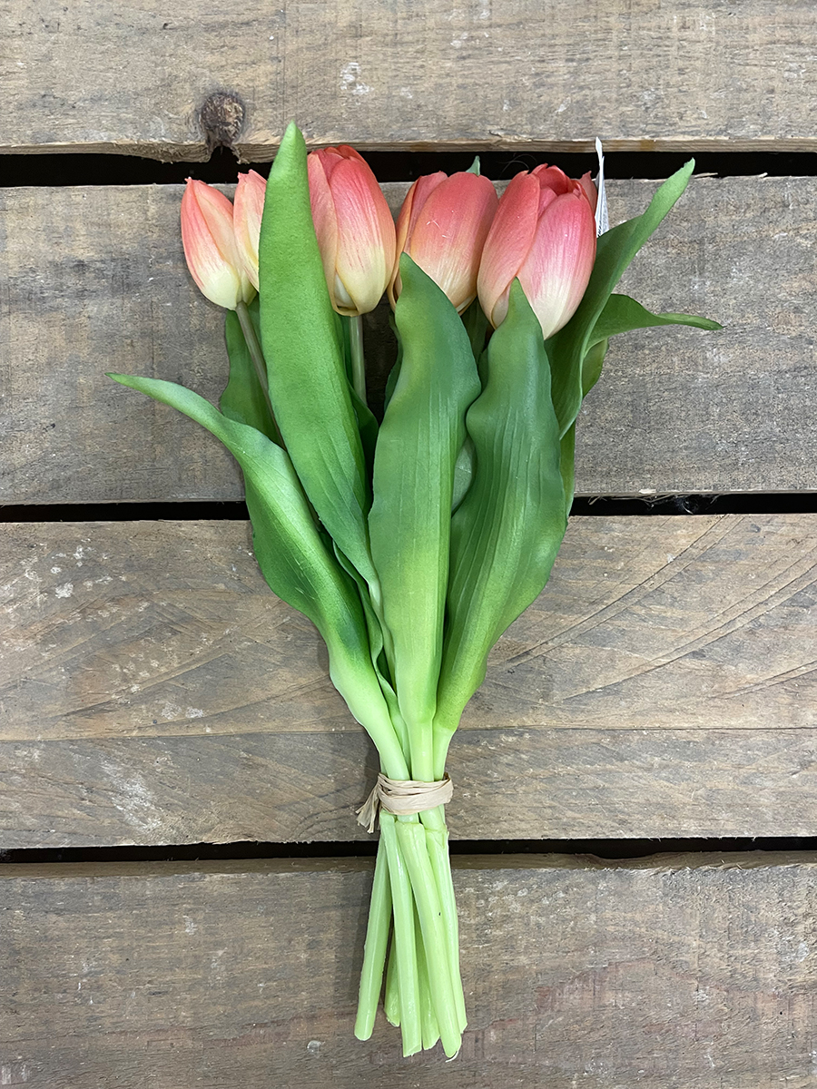 TULIPANI BUNDLE 7STELI 30CM. CR/PNK