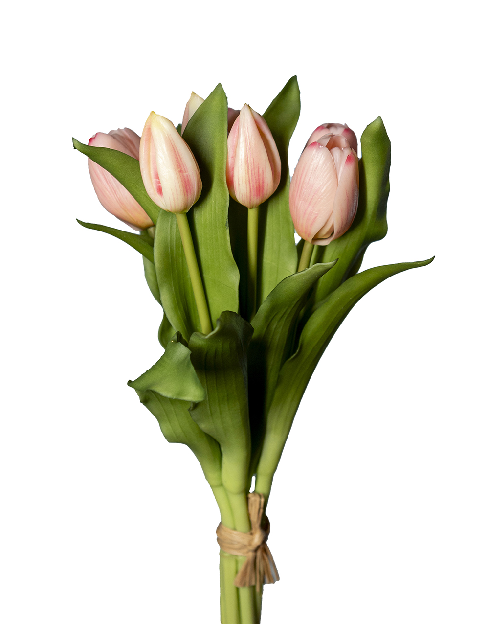 TULIPANI BUNDLE 7STELI 30CM. ROSA CH.