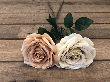 ROSA SIENNA 65CM. 2PZ.ASS. PANNA/BEIGE