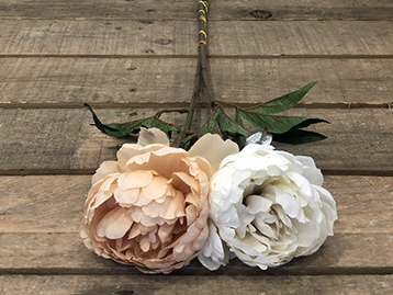 PEONIA 65CM. 2PZ.ASS. PANNA/BEIGE