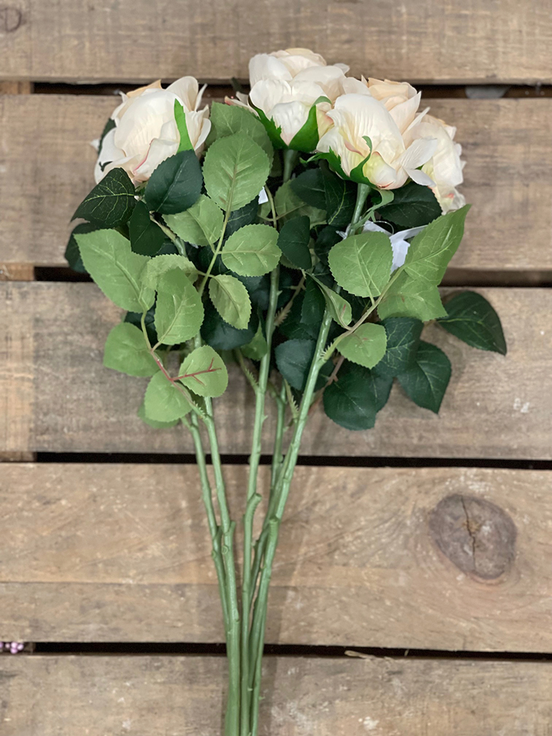 ROSA DALLAS SPRAY 64CM. 6PZ. PEACH