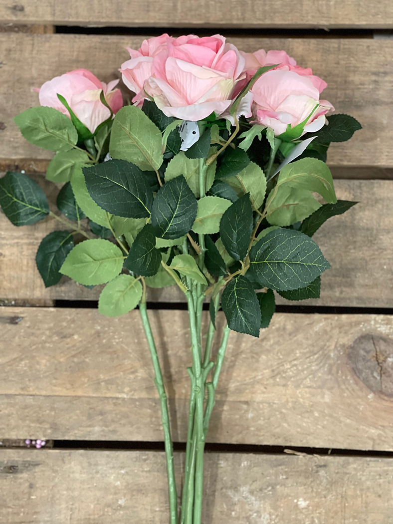 ROSA DALLAS SPRAY 64CM. 6PZ. ROSA