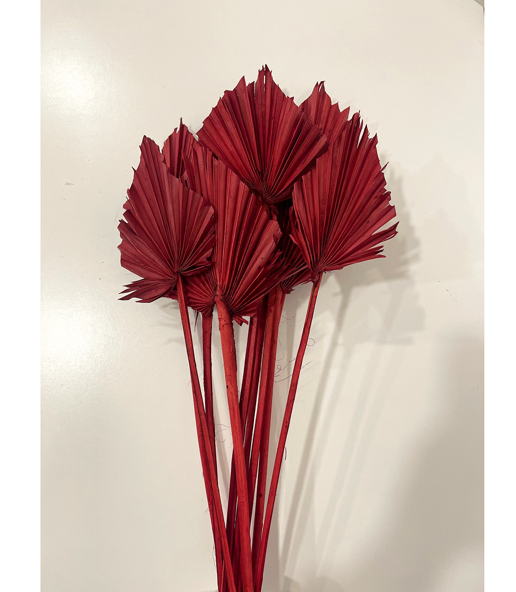 PUNTE DI PALMA MEDIE 10PZ. ROSSO