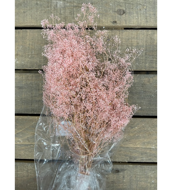 MINI GIPSOPHILA 50GR. ROSA