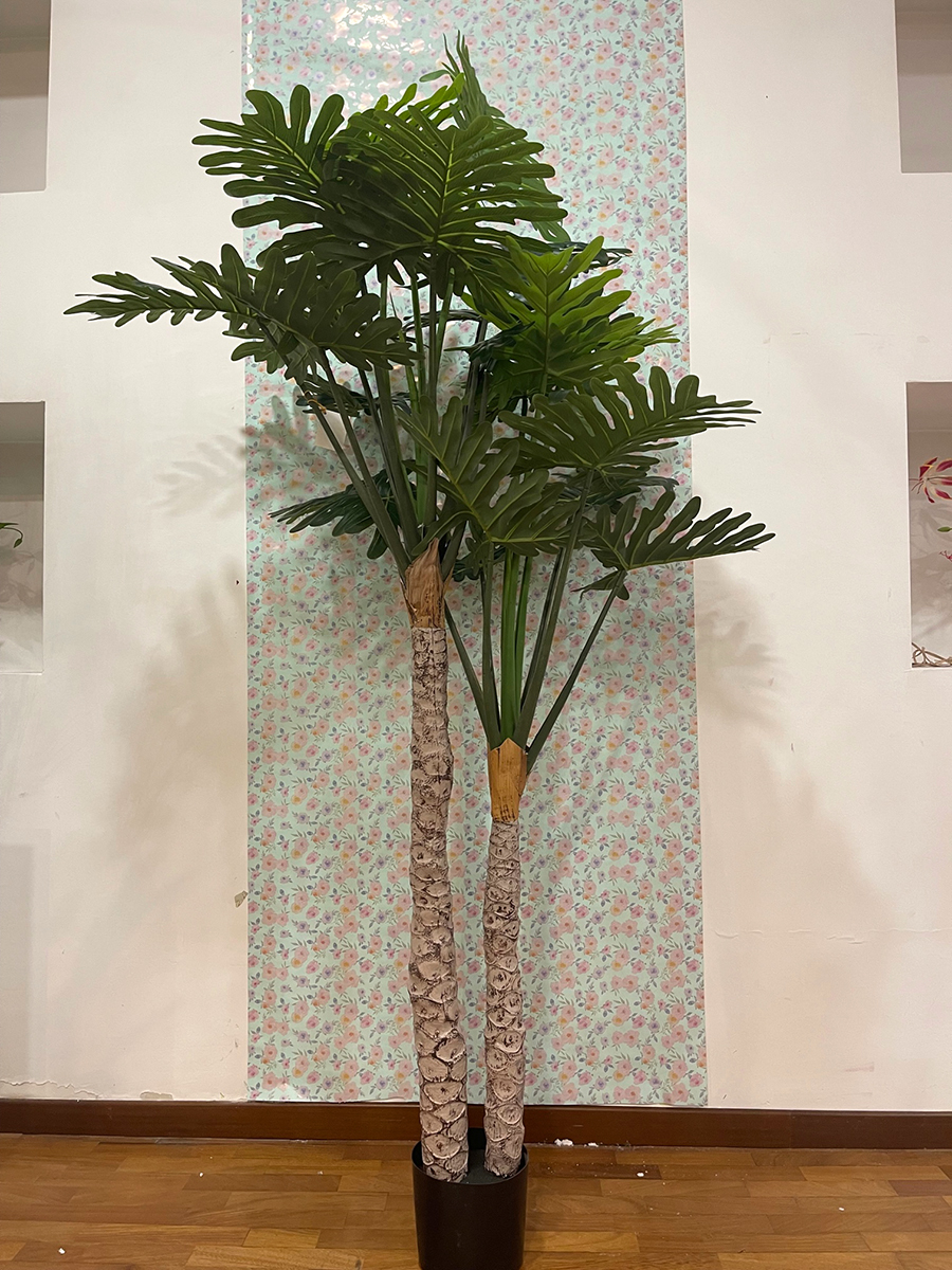 PIANTA NEEDLE KWAI IN VASO H.200CM. VERDE
