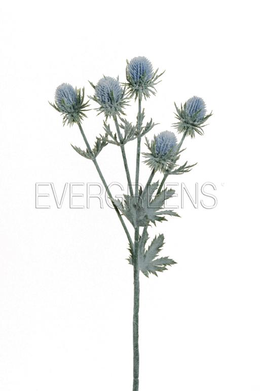 THISTLE SPRAY 64CM. 2PZ. FLOKED BLUE