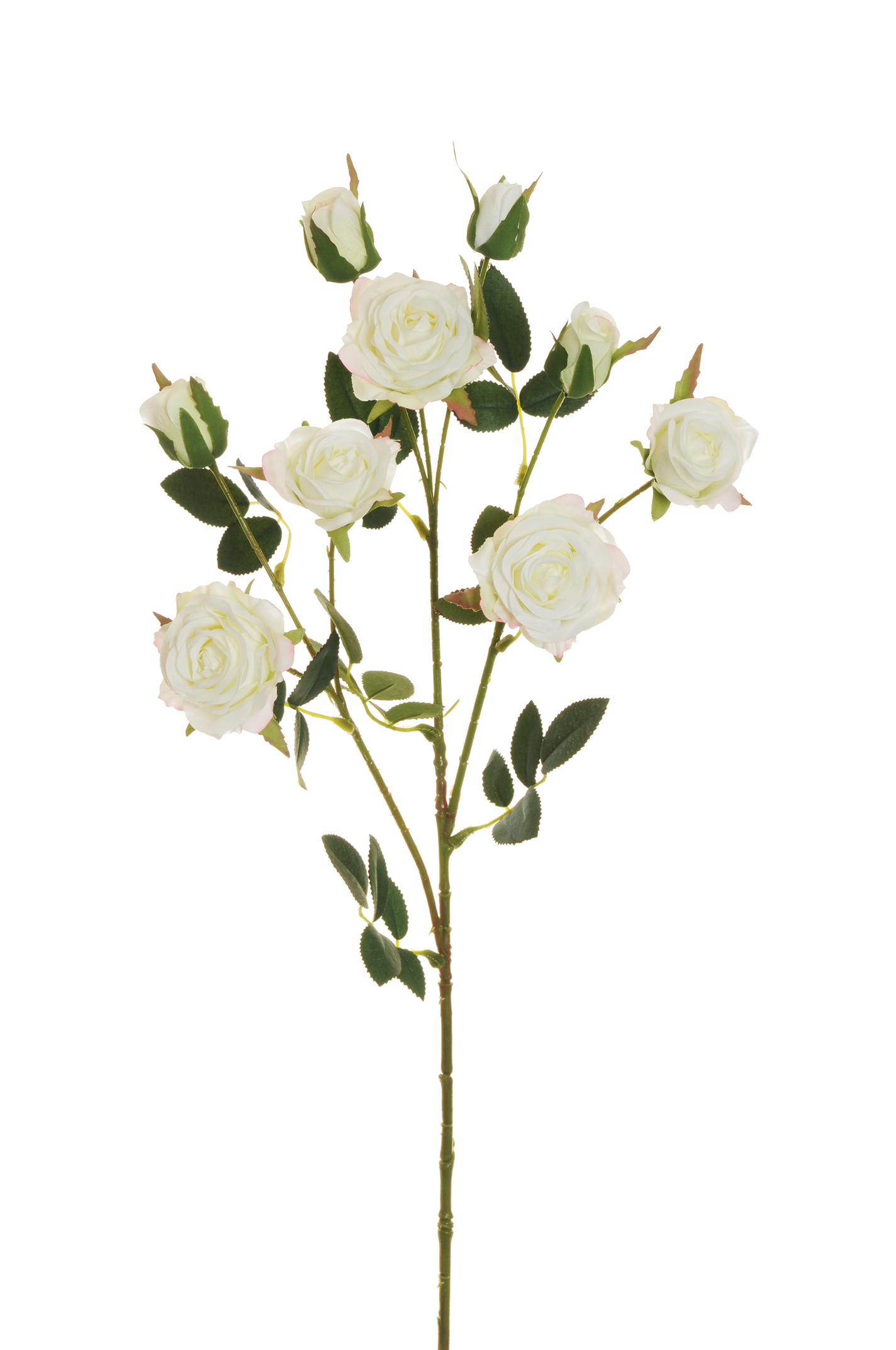 ROSA VIVIANE SPRAY X3 71CM. BIANCO