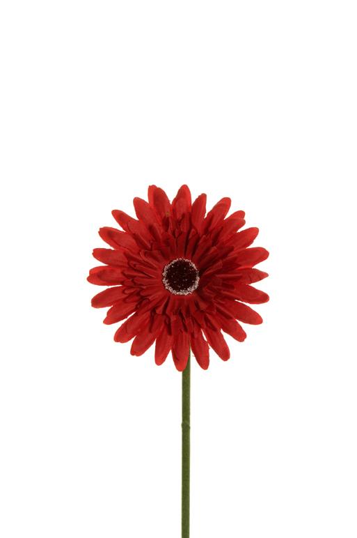 SATIN GERBERA SPRAY 53CM. RED