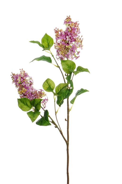 LILAC SPRAY 95CM. LILAC