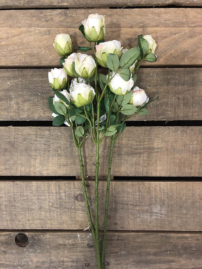 DRIED ROSE SPRAY X5FIORI 60CM.3PZ.CREMA