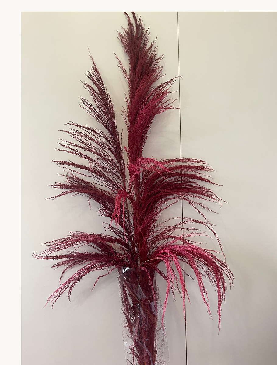 UVA WEDEL 3PZ. 160-180CM. BORDEAUX