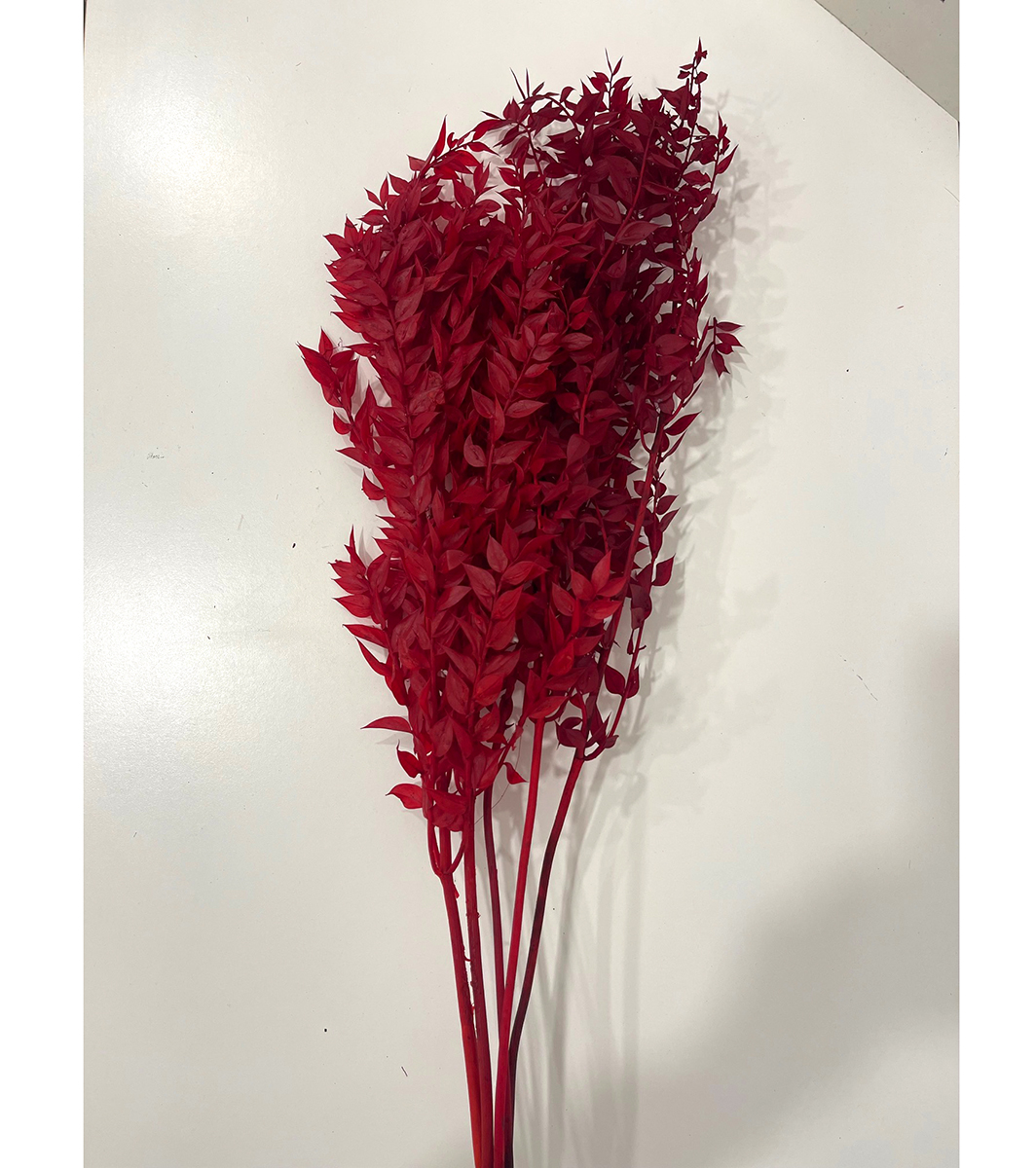 RUSCUS 150GR. 95CM. ROSSO