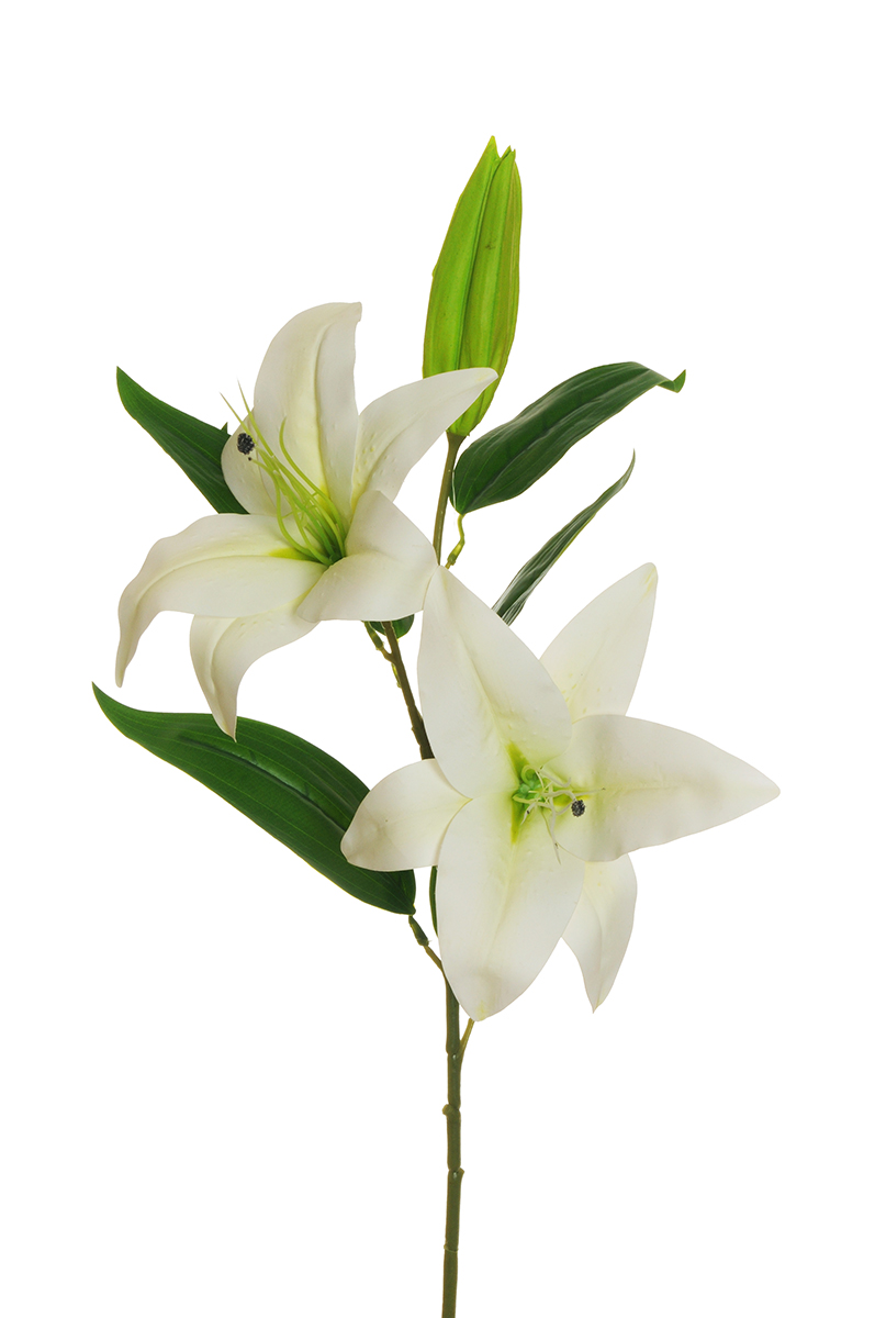 LILIUM SPRAY 2FIORI 1BOCC. 88CM. BIANCO