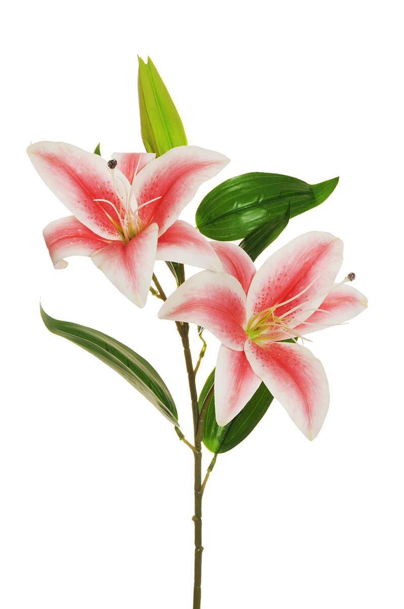 LILIUM SPRAY 2FIORI 1BOCC. 88CM. CORAL