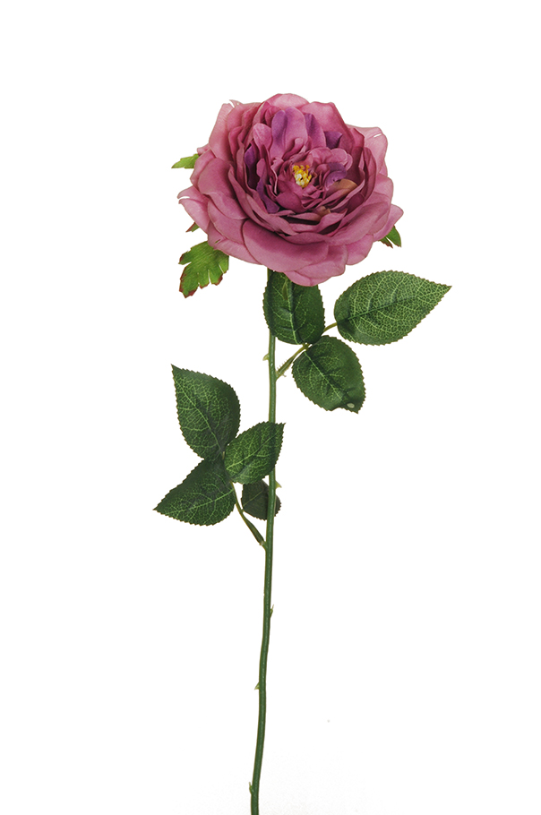GARDEN ROSE 58CM. 6PZ. FUCHSIA