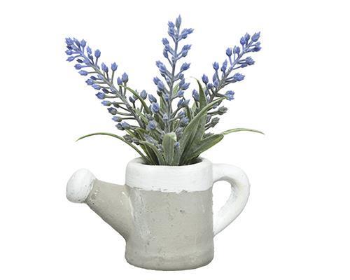 PIANTINA LAVANDA C/ANNAFF. H13 D65CM.
