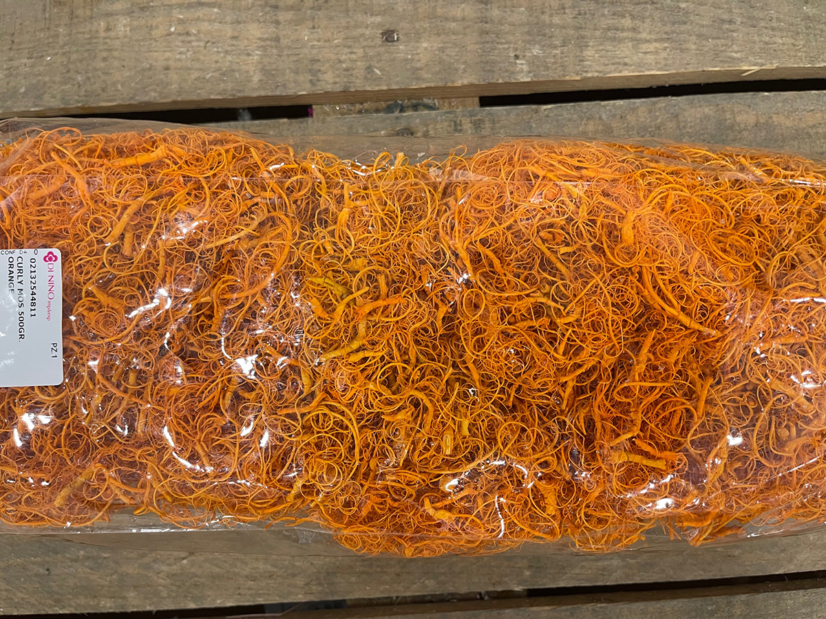 CURLY MOS 500GR. ORANGE