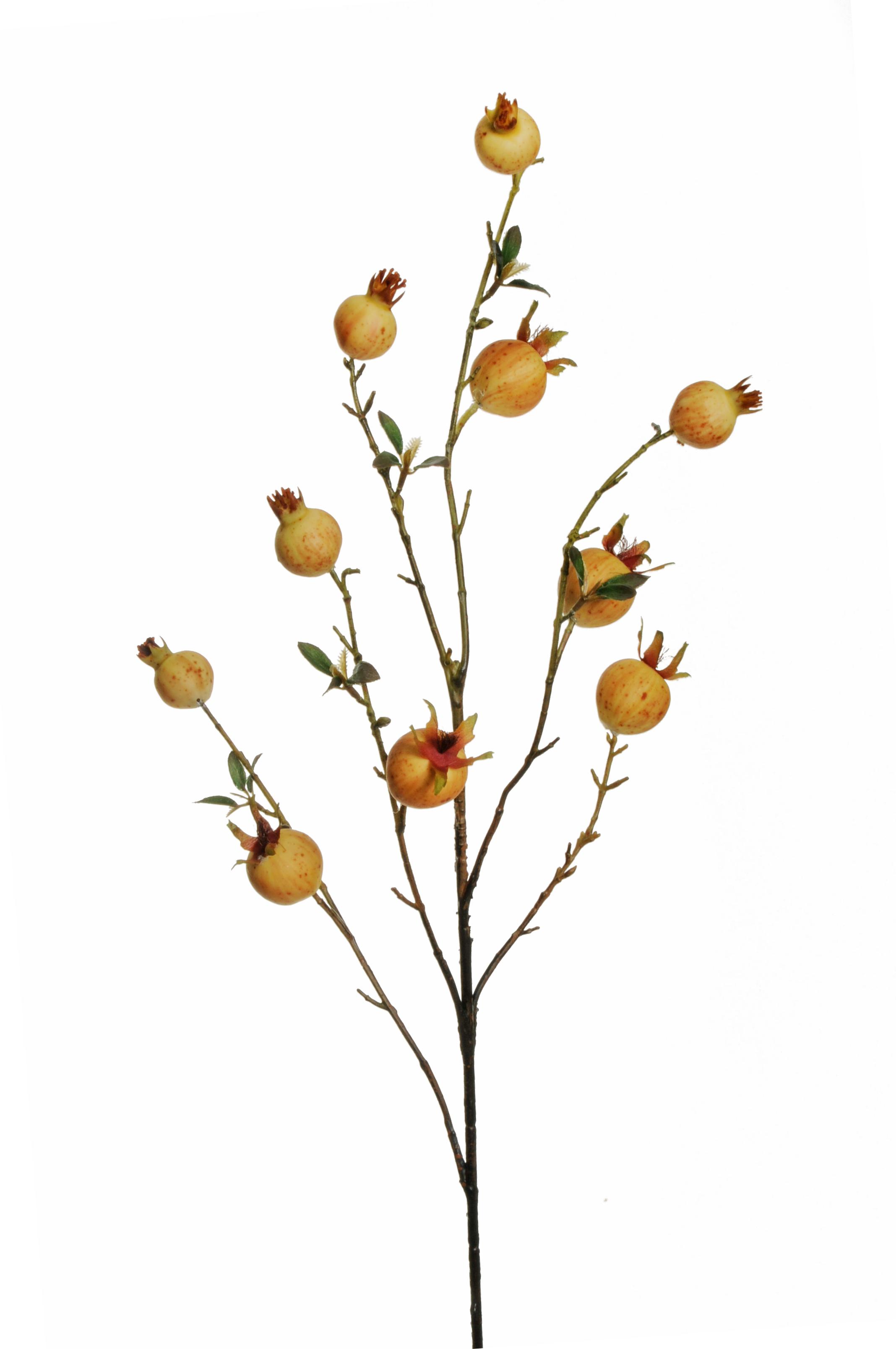 POMEGRANATE SPRAY 84CM. BEIGE