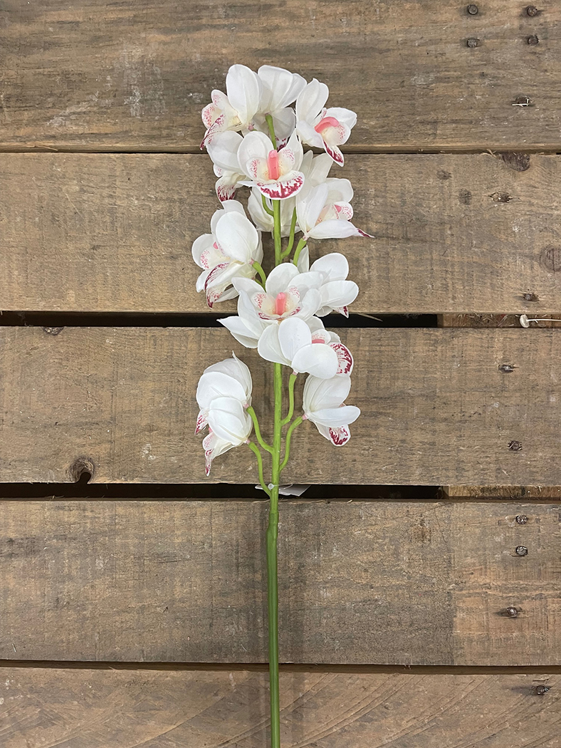 MINI CYMBIUM SPRAY X15 85CM. BIANCO