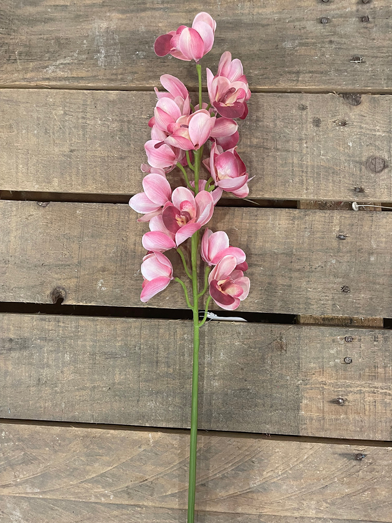 MINI CYMBIUM SPRAY X15 85CM. ROSA