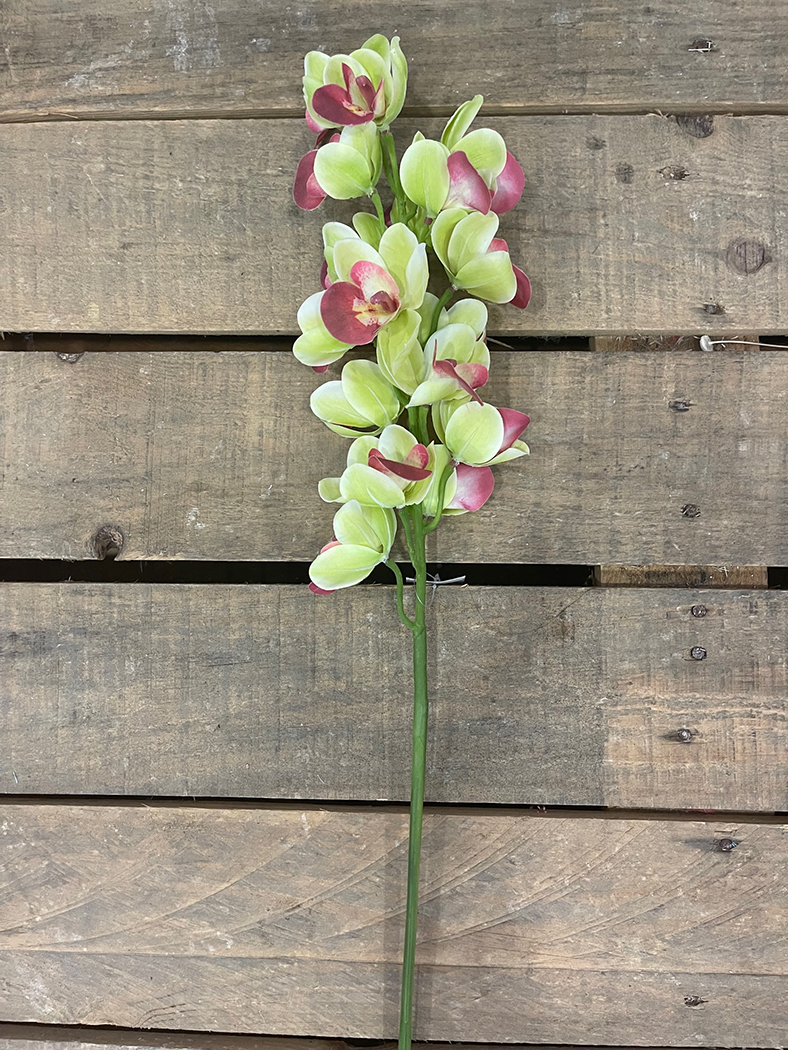 MINI CYMBIUM SPRAY X15 85CM. VERDE CH.