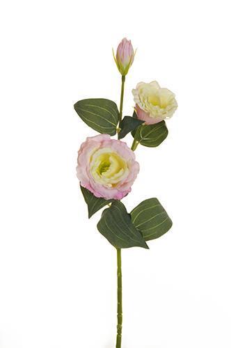 LISIANTUS SPRAY 3FIORI 71CM. 3PZ. ROSA CH.