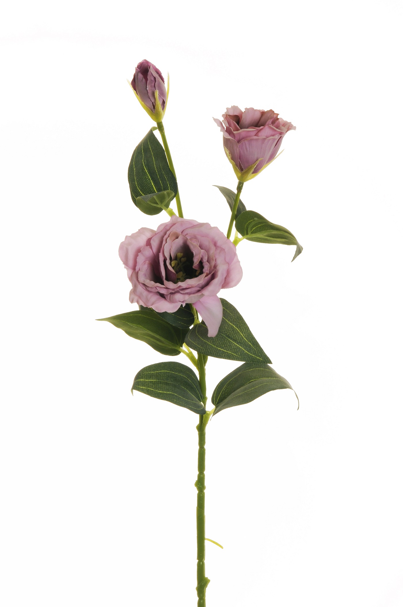 LISIANTUS SPRAY 3FIORI 71CM. 3PZ. LILAC
