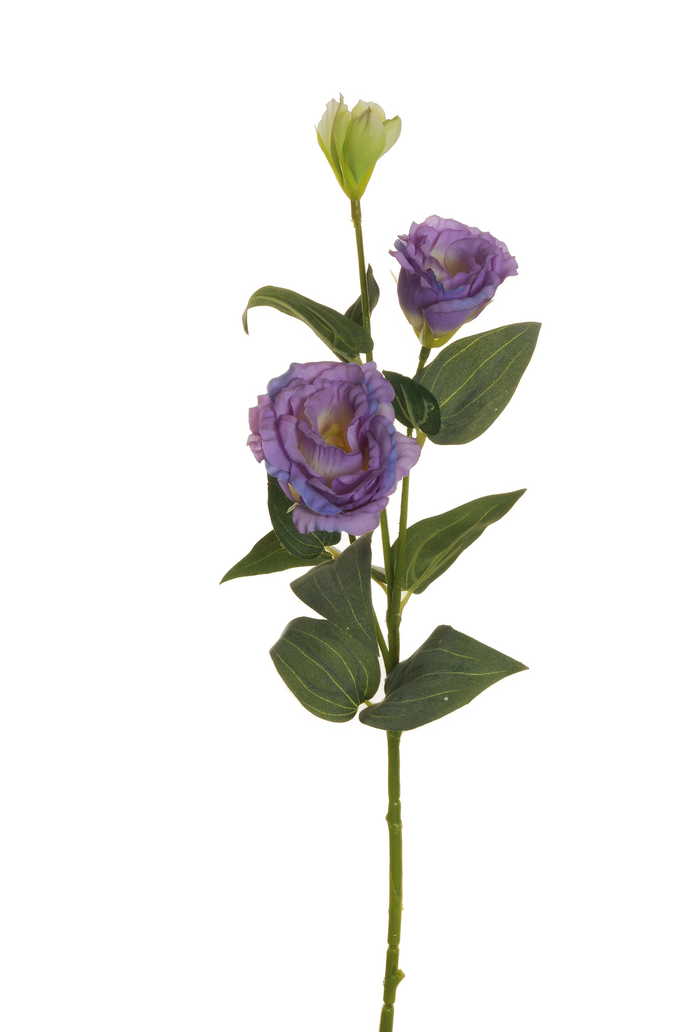 LISIANTUS SPRAY 3FIORI 71CM. 3PZ. LAV.